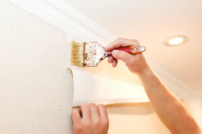 Pose de papier peint à Monein — revêtements muraux et toiles de verre